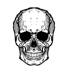 Skull doodle.