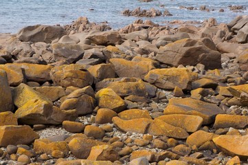 pink granite coast in France