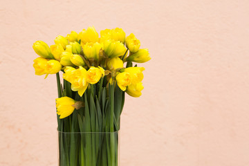 Yellow daffodils Background