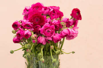Vivid pink roses background