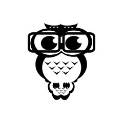 Vector owl academic on the isolated background