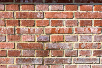 red-orange brick wall with shadows 1