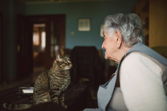 Tabby cat and elderly woman looking at each other
