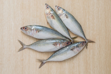 Fresh sea fish on wooden table