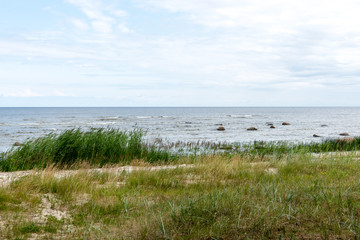 Birds on the rocks in the sea