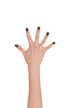 Woman hand showing the five fingers isolated on a white backgrou