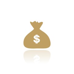 Money bag icon with color reflection
