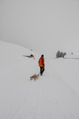 Grindelwald, Dorf, Bergdorf, Bussalp, Bergstrasse, Schlittelweg, Wanderweg, Wintersport, Winterferien, Winter, Alpen, Schweizer Berge, Berner Oberland, Schweiz