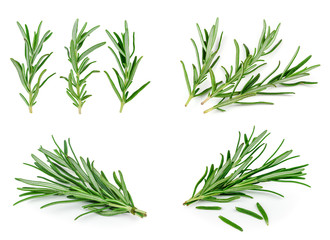 Naklejka premium rosemary 6