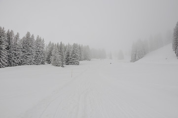 Obraz premium Grindelwald, Dorf, Bergdorf, Bussalp, First, Alpen, Wanderweg, Bergstrasse, Schlittelweg, Wintersport, Winter, Berner Oberland, Schweiz