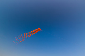 Orange Octupus Kite