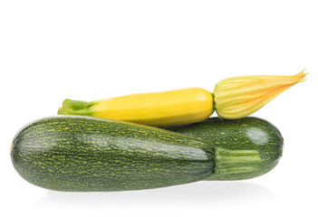 Bright vegetable marrow