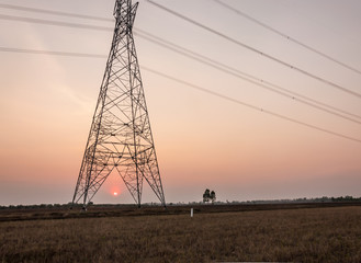 electricity post in the cornfield and sunset