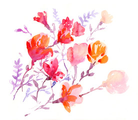 watercolors colorful flowers 
