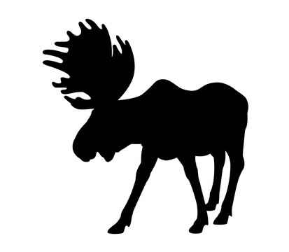 recommend clip art: Silhouette adult moose