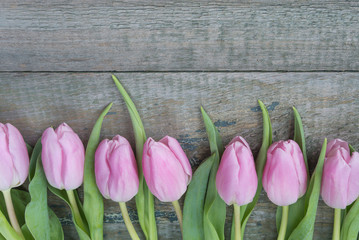 Tulip flowers on a wooden background