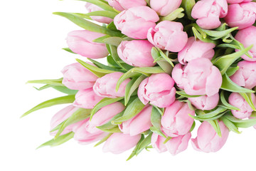 Fototapeta na wymiar Pink tulips flowers