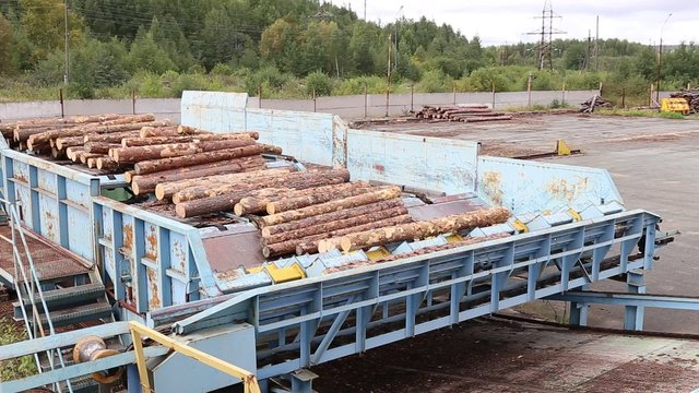 Automatic sorting logs diameter at the sawmill