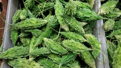 Green Momordica, bitter melon or karela  at grocery store