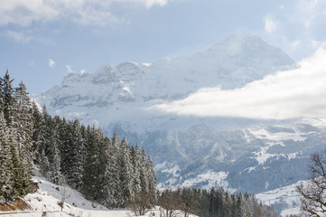Grindelwald, Dorf, Bergdorf, Bussalp, Weidli, Eiger, Eigernordwand, Wanderweg, Wintersport, Winterferien, Winter, Berner Oberland, Schweiz