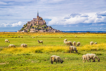 Famous Le Mont Saint-Michel with grazing sheep, Normandy, northern France - obrazy, fototapety, plakaty