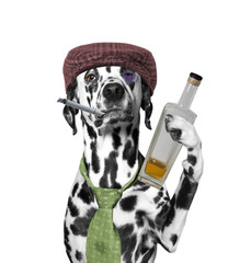 Obrazy na Szkle  pies pijak trzymający papierosa i butelkę alkoholu