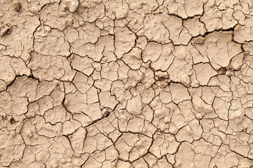 Dry land. Cracked ground background.