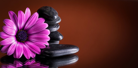 fiore con pietre nere