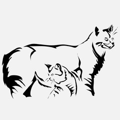 Outline cat and kitten vector illustration. Can be use for logo