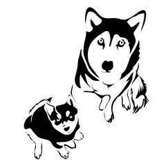 Naklejka premium Outline dog and puppy husky top view vector template. Can be use