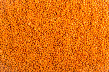Dry unbroken orange lentils texture