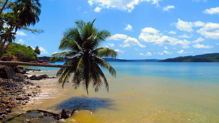 Fototapeta na wymiar Seascape with an inclined palm tree on a tropical island, Ross Island, Andaman and Nicobar Islands, India, Asia.