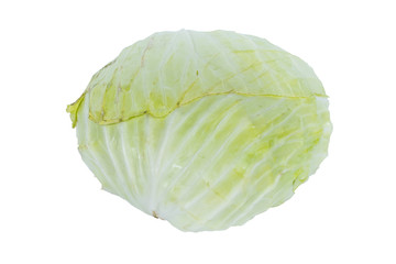 A cabbage on white background