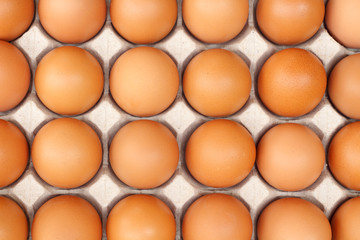 chicken eggs in paper Panel