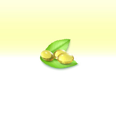 Fish oil, pills isolated on yellow background, vector illustration