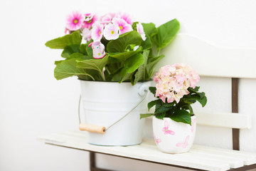 Hollyhock and hydrangea flowers on off-white shelf