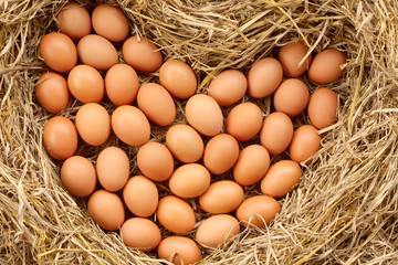 pile of brown organic eggs on straw