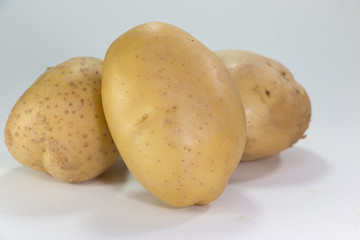 potato on white background