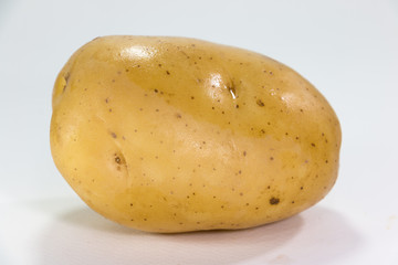 potato on white background