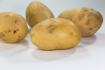 potato on white background