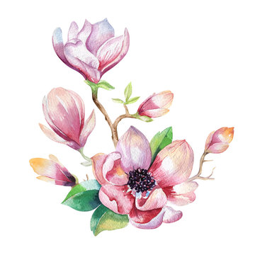 Painting Magnolia flower wallpaper. Hand drawn Watercolor floral