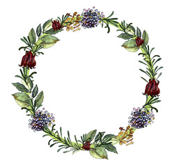 Fototapeta premium herbs, spices, watercolor