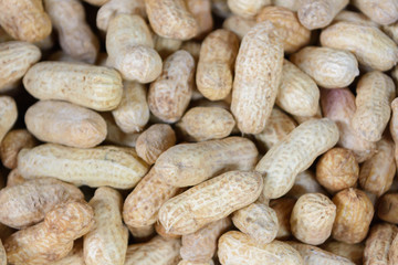 peanut