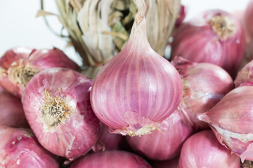 Pile of Red Onions