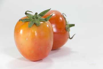 Tomato on white background