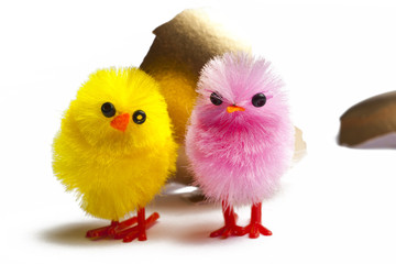 Golden Egg with Chicks with White Background