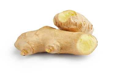 Fototapeta premium Ginger