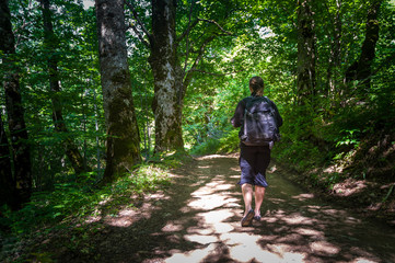 Fototapeta premium Hiking in the virgin forests of Montenegro