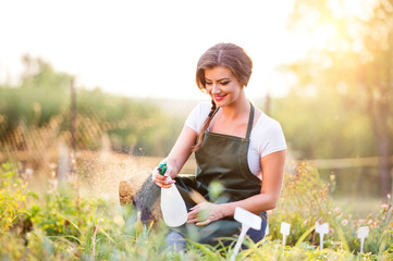 Young gardener in green apron sprinkling plants, garden