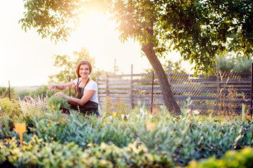 Young gardener cutting little flower plant, green sunny nature